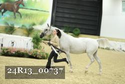 24R13_00737 thumbnail