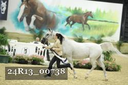 24R13_00738 thumbnail