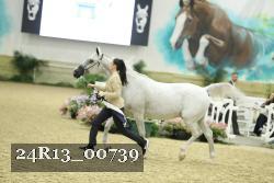24R13_00739 thumbnail