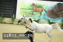 24R13_00740 thumbnail