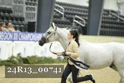 24R13_00741 thumbnail