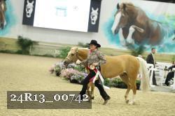 24R13_00742 thumbnail