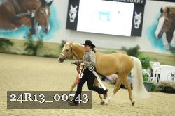 24R13_00743 thumbnail