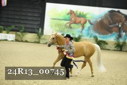 24R13_00745 thumbnail