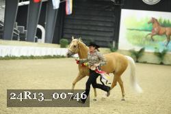 24R13_00746 thumbnail