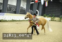 24R13_00747 thumbnail