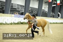 24R13_00748 thumbnail