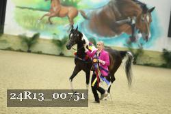 24R13_00751 thumbnail