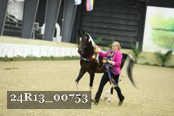 24R13_00753 thumbnail