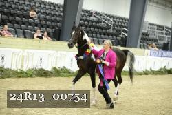 24R13_00754 thumbnail