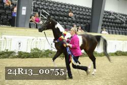 24R13_00755 thumbnail