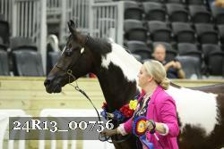 24R13_00756 thumbnail