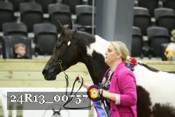 24R13_00757 thumbnail