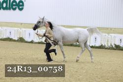 24R13_00758 thumbnail