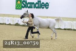 24R13_00759 thumbnail
