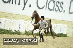 24R13_00762 thumbnail