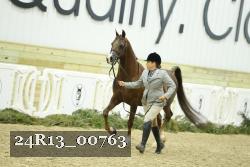 24R13_00763 thumbnail