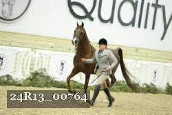 24R13_00764 thumbnail