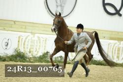 24R13_00765 thumbnail