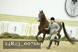 24R13_00766 thumbnail