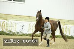 24R13_00767 thumbnail