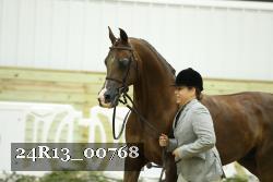 24R13_00768 thumbnail