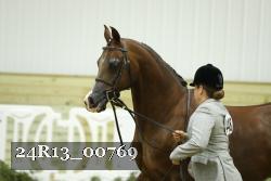 24R13_00769 thumbnail