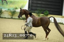 24R13_00770 thumbnail