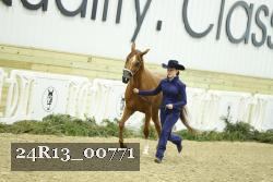24R13_00771 thumbnail