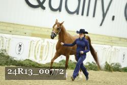 24R13_00772 thumbnail