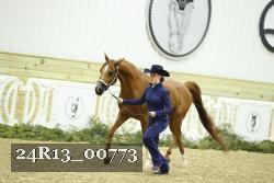24R13_00773 thumbnail