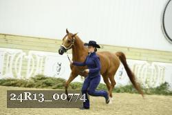 24R13_00774 thumbnail