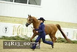 24R13_00775 thumbnail