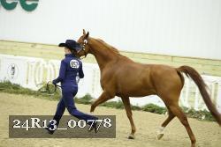 24R13_00778 thumbnail