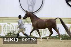 24R13_00779 thumbnail