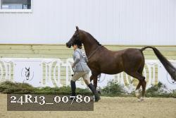 24R13_00780 thumbnail