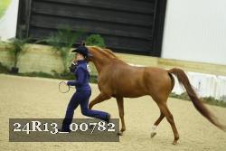 24R13_00782 thumbnail
