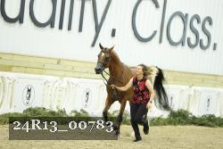 24R13_00783 thumbnail