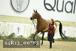 24R13_00785 thumbnail