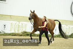 24R13_00786 thumbnail