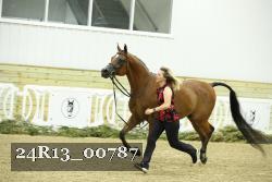 24R13_00787 thumbnail