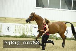 24R13_00788 thumbnail