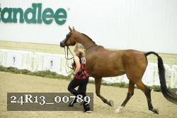 24R13_00789 thumbnail