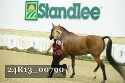 24R13_00790 thumbnail