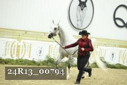 24R13_00794 thumbnail