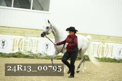 24R13_00795 thumbnail