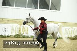 24R13_00796 thumbnail