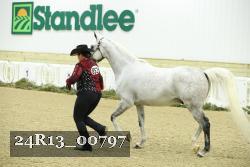 24R13_00797 thumbnail