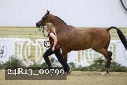 24R13_00799 thumbnail