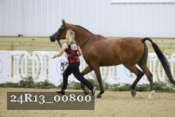 24R13_00800 thumbnail